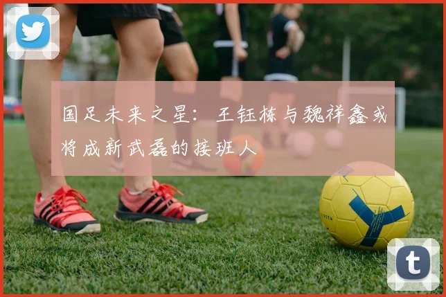 国足未来之星：王钰栋与魏祥鑫或将成新武磊的接班人